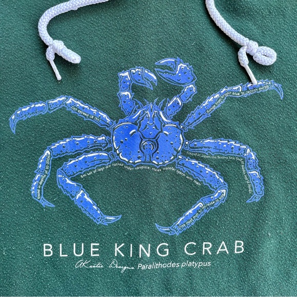American Apparel Blue King Crab Hoodie F498 Large USA - Picture 5 of 5